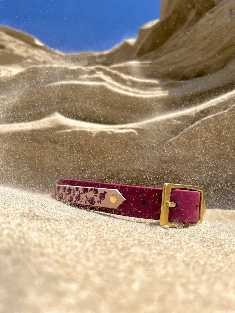 Double Layer 25mm BioThane® Dog Collar – Customizable 🎨 - Image 8