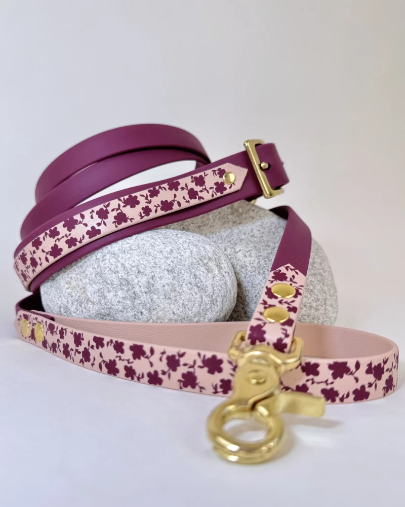 Double Layer 25mm BioThane® Dog Collar – Customizable 🎨 - Image 16