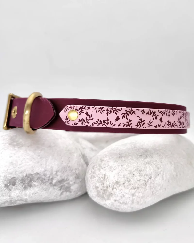 Double Layer 25mm BioThane® Dog Collar – Customizable 🎨 - Image 5