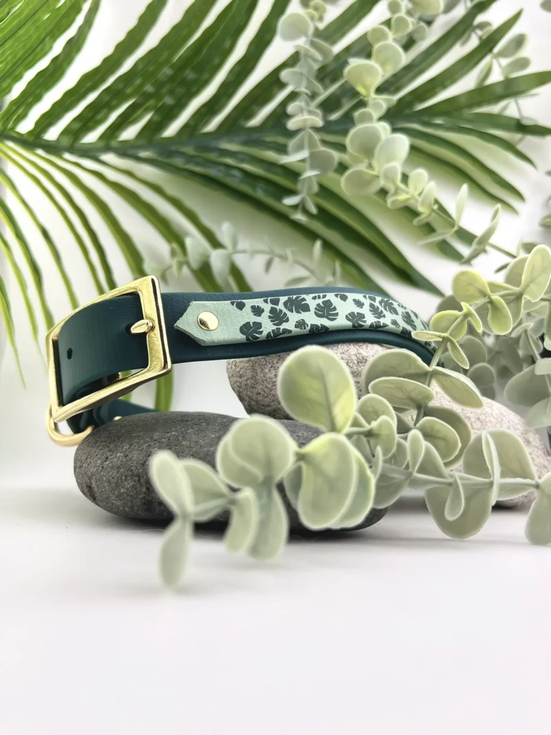 Double Layer 25mm BioThane® Dog Collar – Customizable 🎨 - Image 13