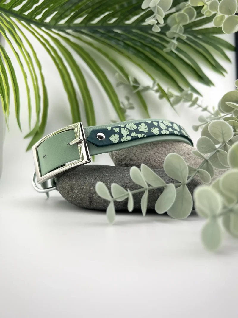 Double Layer 25mm BioThane® Dog Collar – Customizable 🎨 - Image 12