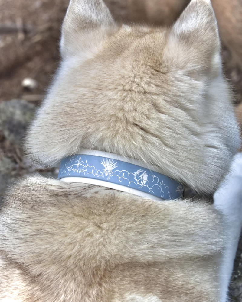 Collier double 38mm BioThane® - à personnaliser 🎨 – Image 8