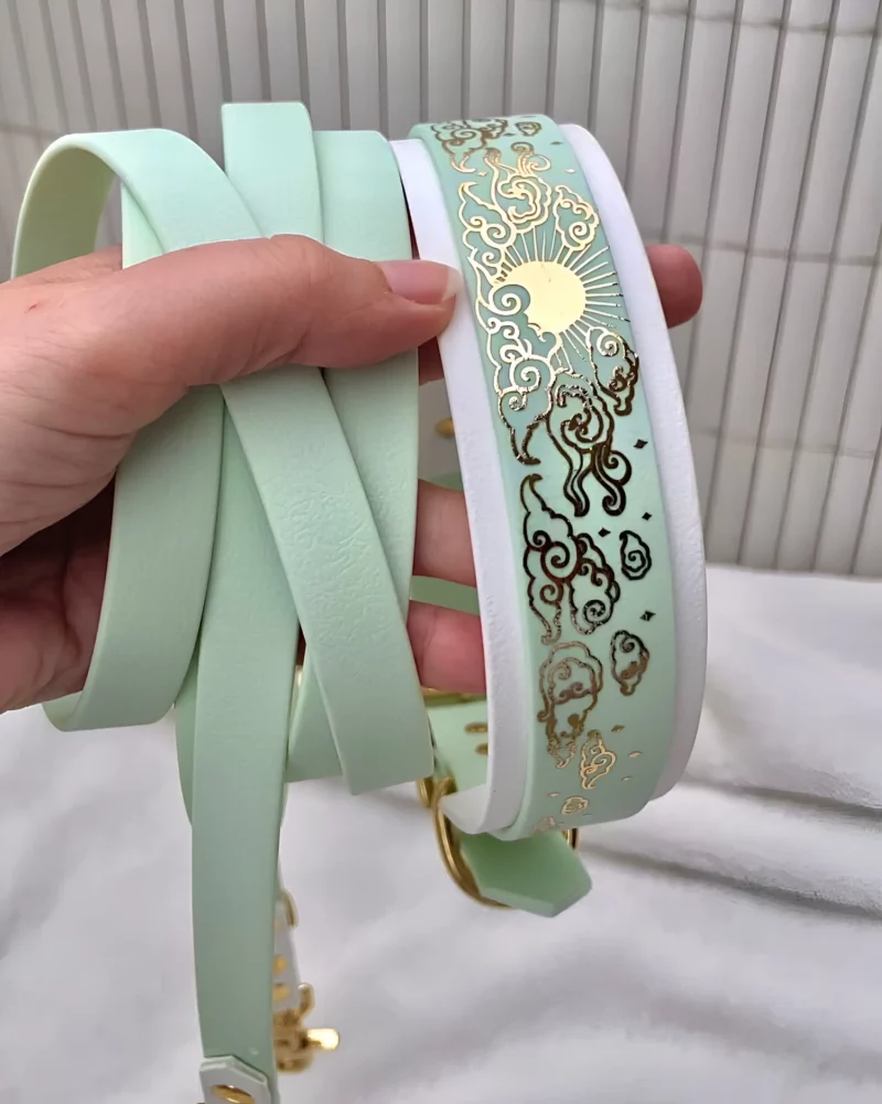 Collier double 38mm BioThane® - à personnaliser 🎨 – Image 10