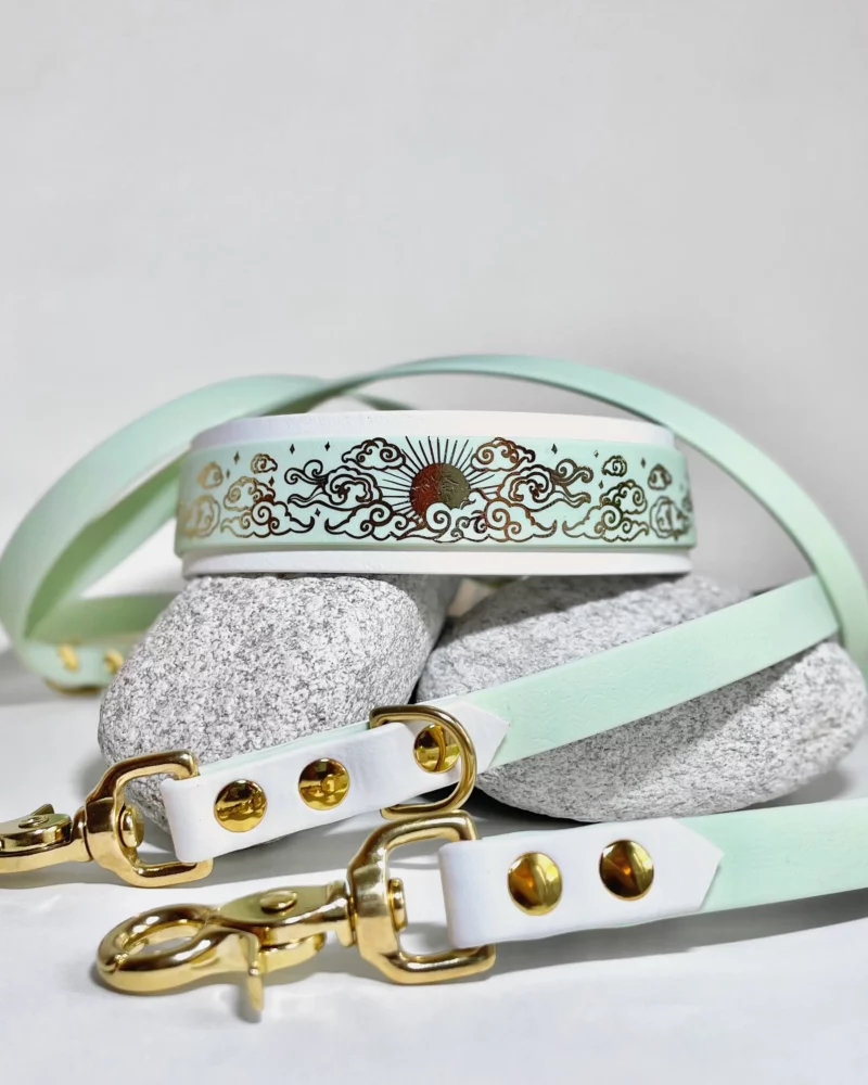 Collier double 38mm BioThane® - à personnaliser 🎨 – Image 9