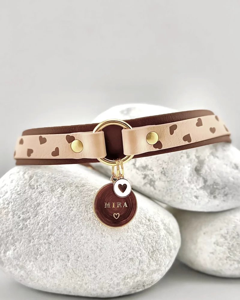 Collar doble de 25mm BioThane® con anilla central – personalizable 🎨