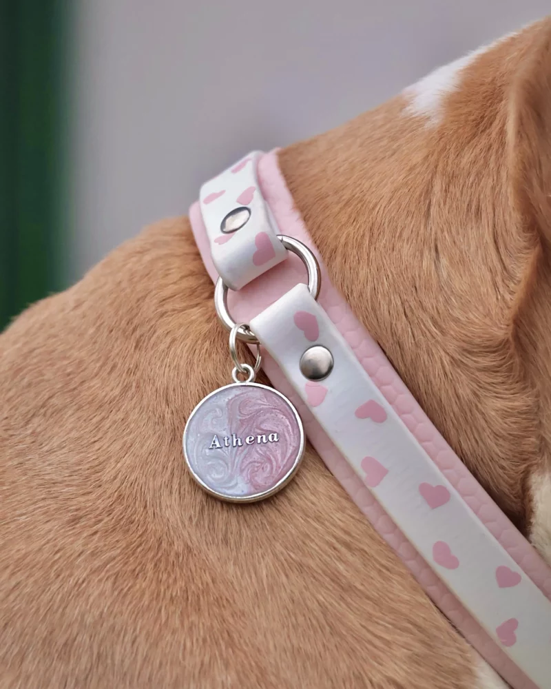 Collar doble de 25mm BioThane® con anilla central – personalizable 🎨 - Imagen 6
