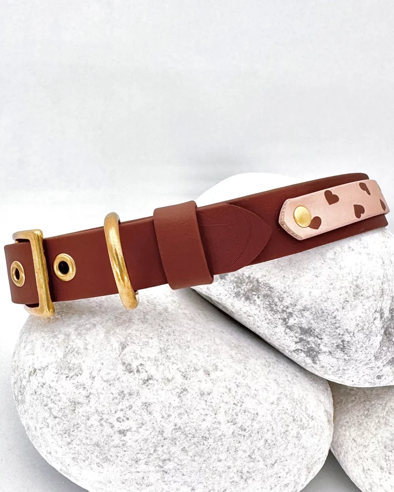 Collar doble de 25mm BioThane® con anilla central – personalizable 🎨 - Imagen 11