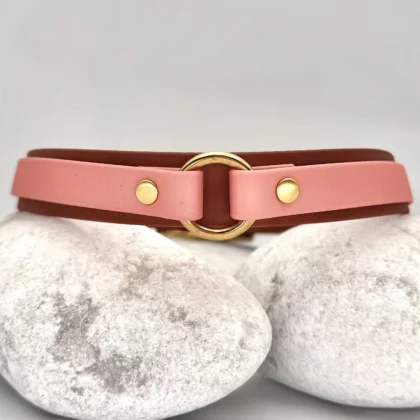 Collier double avec anneau 25mm BioThane® - à personnaliser 🎨