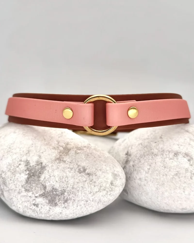 Collar doble de 25mm BioThane® con anilla central – personalizable 🎨 - Imagen 5