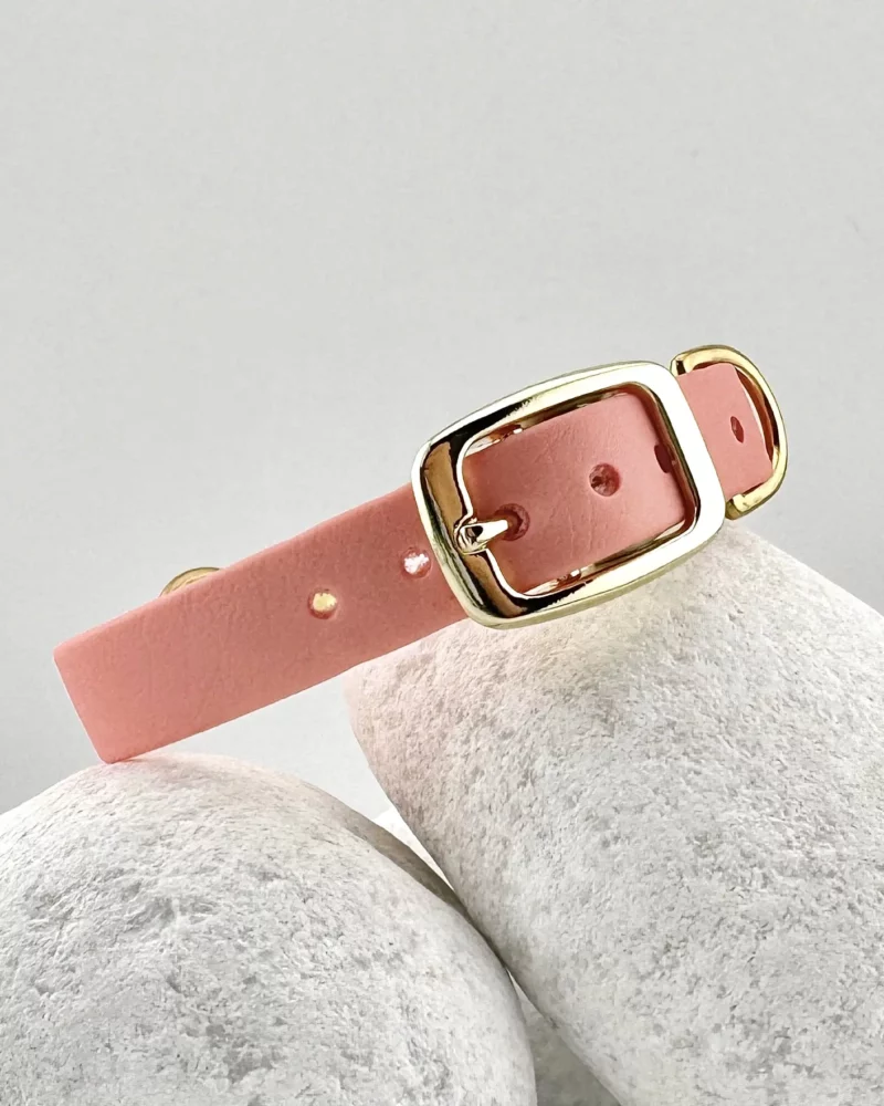 Simple Biothane® Dog Collar 16mm – Customizable 🎨