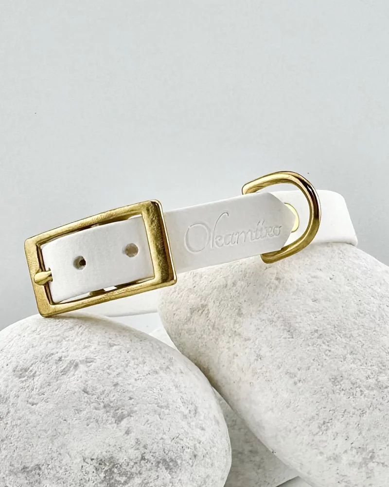 Simple Biothane® Dog Collar 16mm – Customizable 🎨 - Image 12