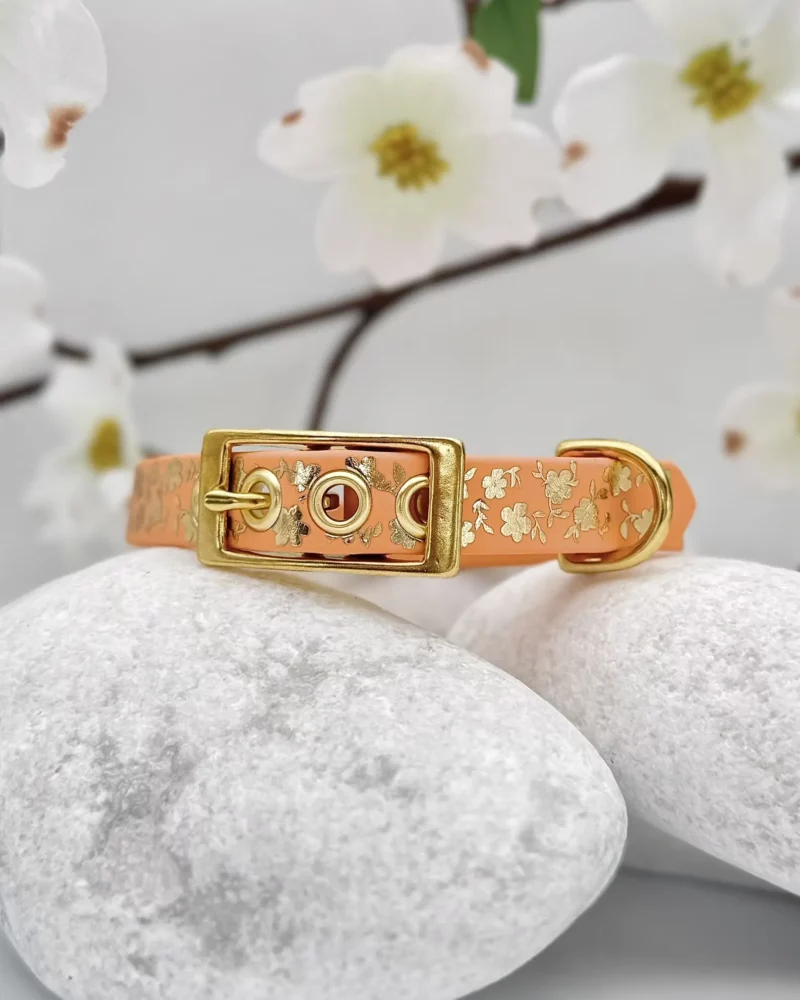Simple Biothane® Dog Collar 16mm – Customizable 🎨 - Image 10
