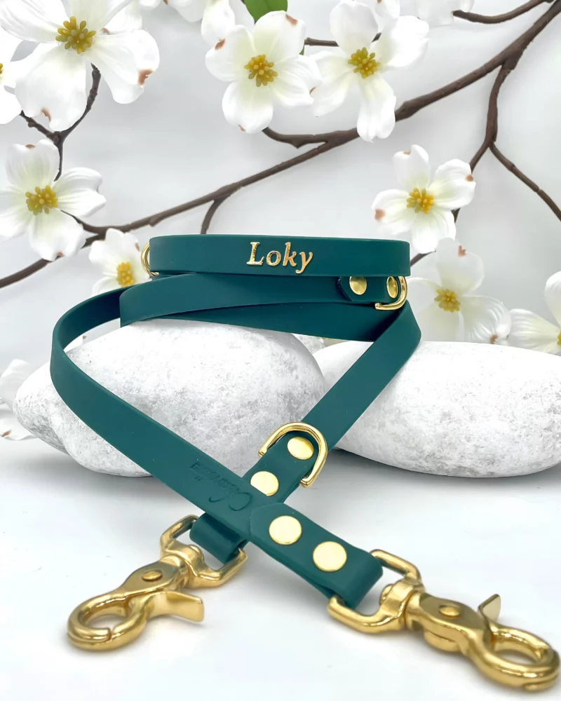 Simple Biothane® Dog Collar 16mm – Customizable 🎨 - Image 7