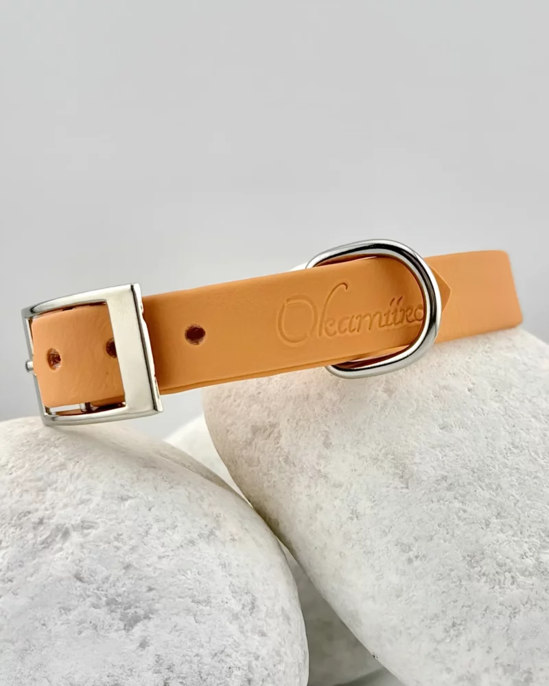 Simple Biothane® Dog Collar 16mm – Customizable 🎨 - Image 4