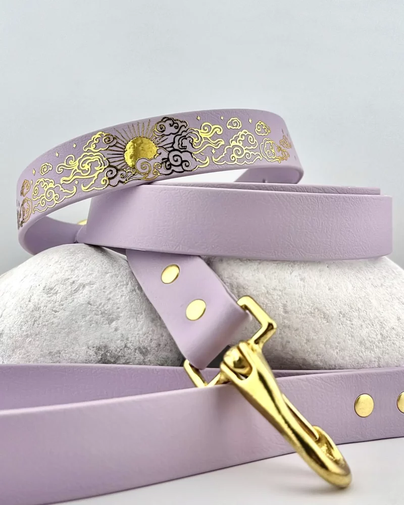 Simple Biothane® Dog Collar 25mm – Customizable 🎨 - Image 10