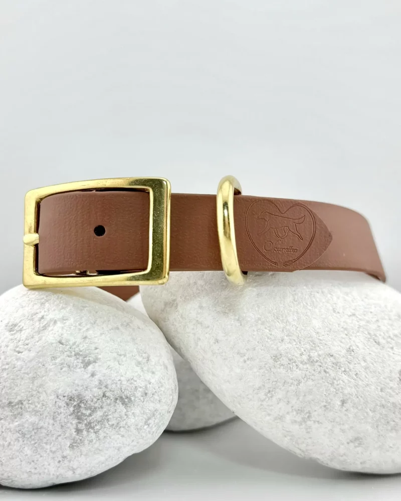 Simple Biothane® Dog Collar 25mm – Customizable 🎨 - Image 18