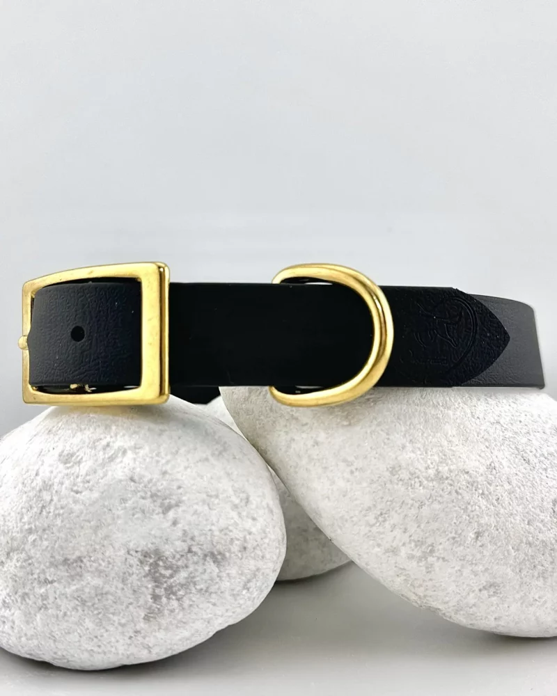 Simple Biothane® Dog Collar 25mm – Customizable 🎨 - Image 21