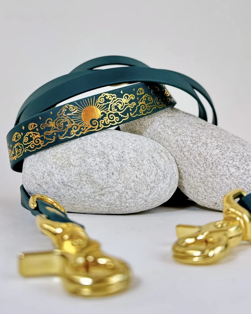 Simple Biothane® Dog Collar 25mm – Customizable 🎨 - Image 5