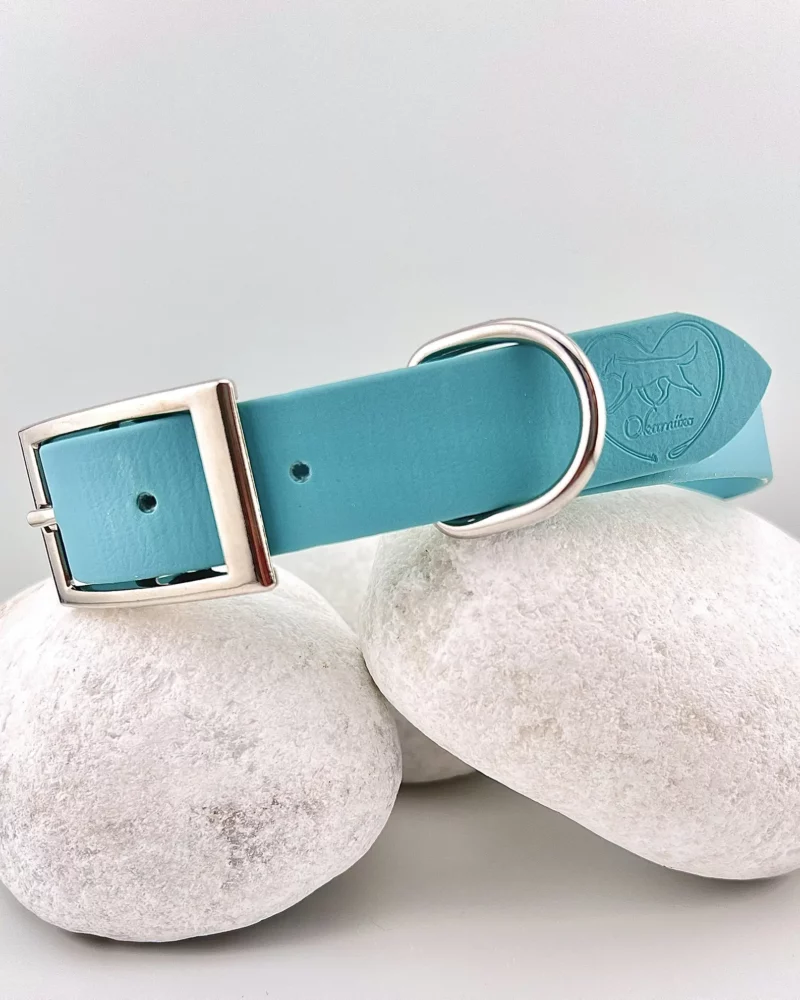 Simple Biothane® Dog Collar 25mm – Customizable 🎨 - Image 3