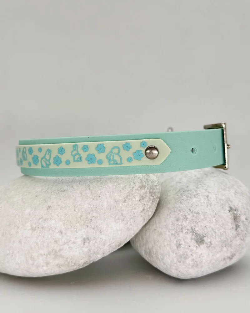 Double PVC Dog Collar 25mm – Customizable 🎨