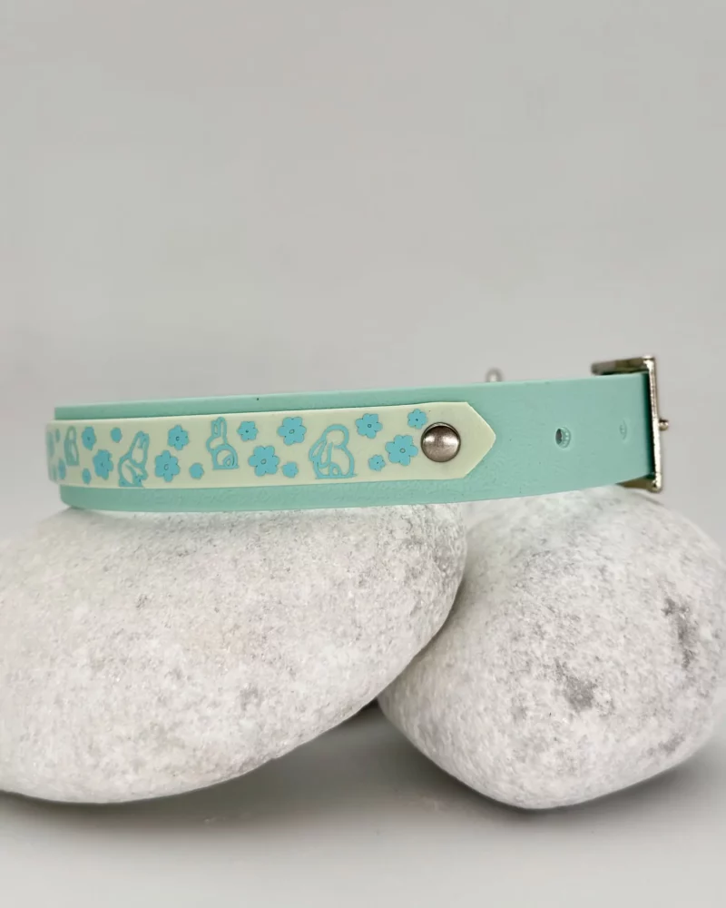 Double PVC Dog Collar 25mm – Customizable 🎨