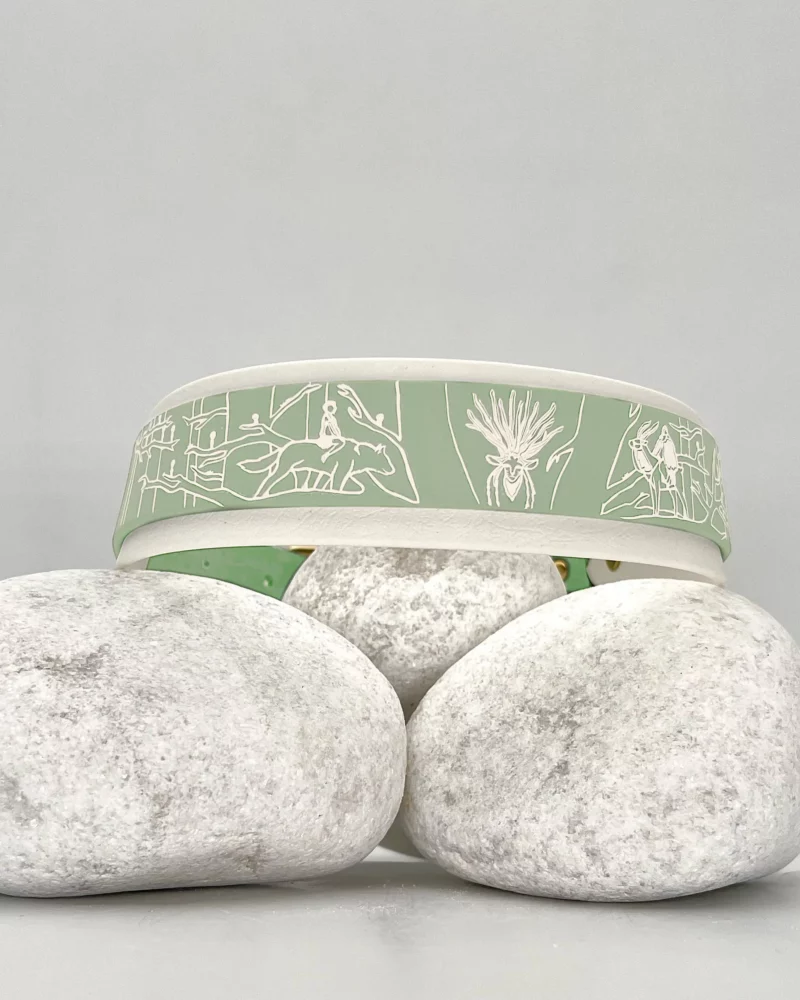 Zweilagiges BioThane® & PVC Hundehalsband 38mm – personalisierbar 🎨