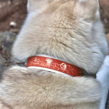 Collier double 38mm BioThane® & PVC – à personnaliser 🎨