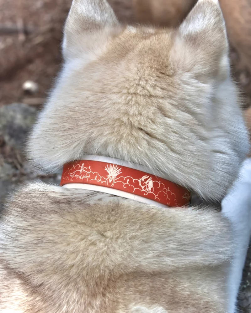 Collier double 38mm BioThane® & PVC - à personnaliser 🎨 – Image 2