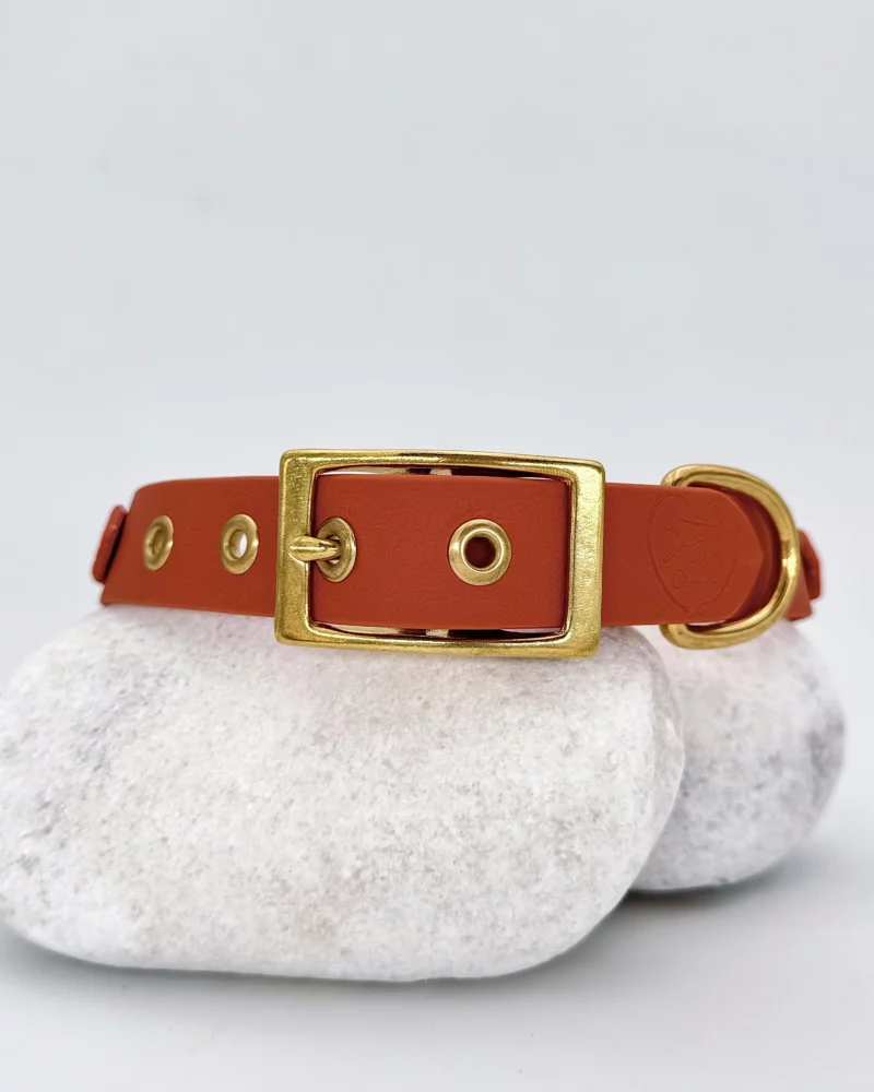 Collier double avec anneau 25mm PVC - à personnaliser 🎨 – Image 17