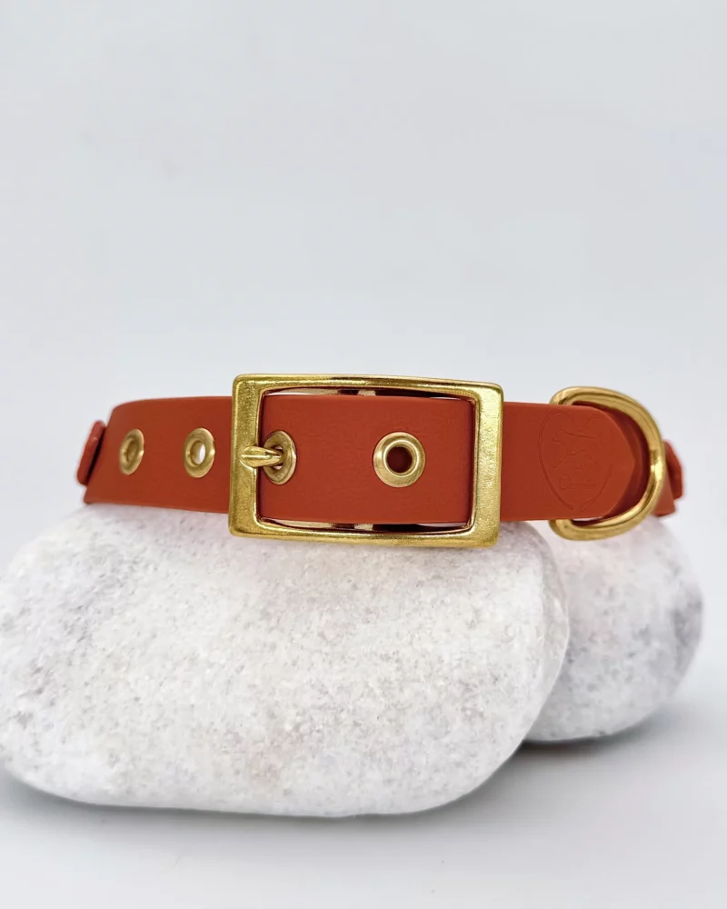 Collier double avec anneau 25mm PVC - à personnaliser 🎨 – Image 17