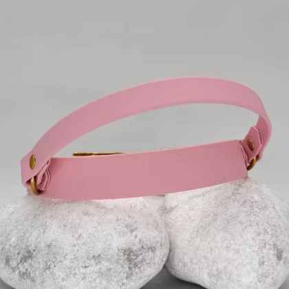 Retractable-Handle PVC Dog Collar 25mm – Customizable 🎨