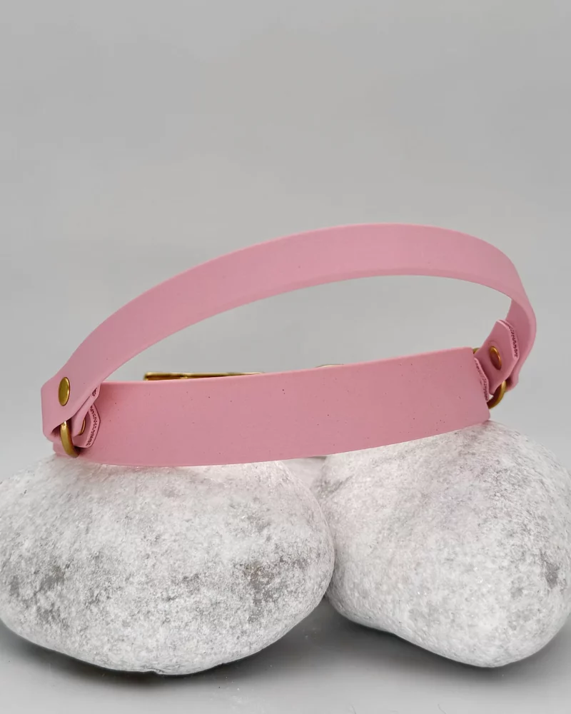 Retractable-Handle PVC Dog Collar 25mm – Customizable 🎨