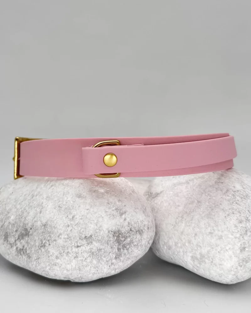 Collier poignée rétractable 25mm PVC - à personnaliser 🎨 – Image 8