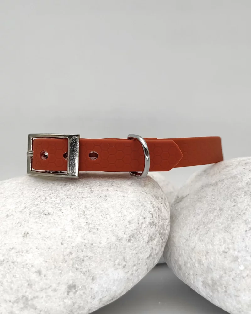 Simple PVC Dog Collar 16mm – Customizable 🎨