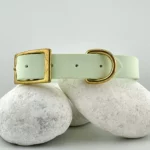 Two-tone PVC Dog Collar 25mm – Customizable 🎨