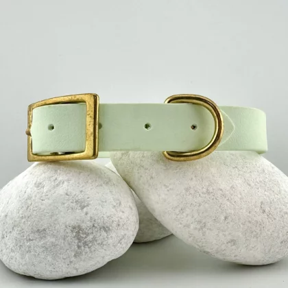Simple PVC Dog Collar 25mm – Customizable 🎨