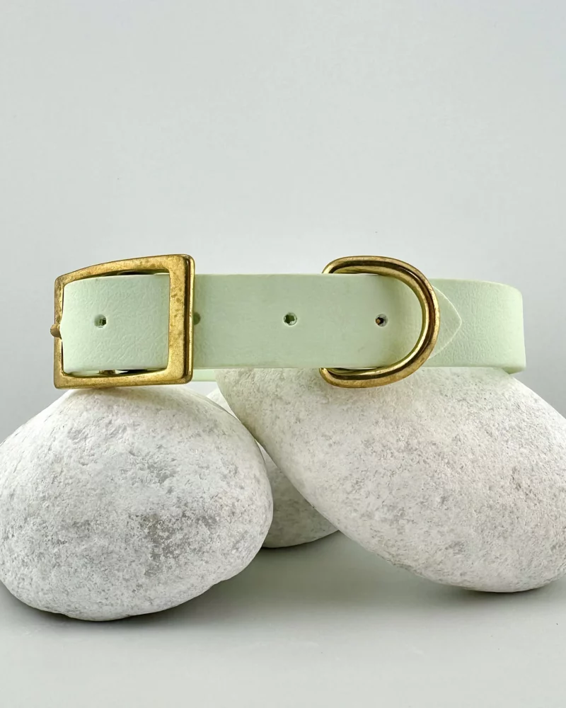 Simple PVC Dog Collar 25mm – Customizable 🎨