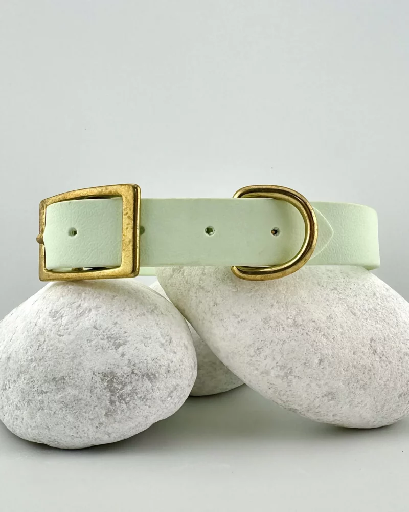 Simple PVC Dog Collar 25mm – Customizable 🎨