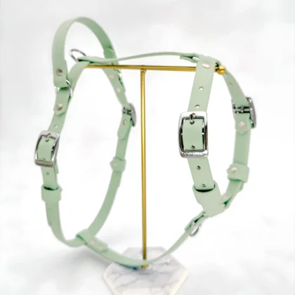 PVC Dog Harness 16mm – Customizable 🎨