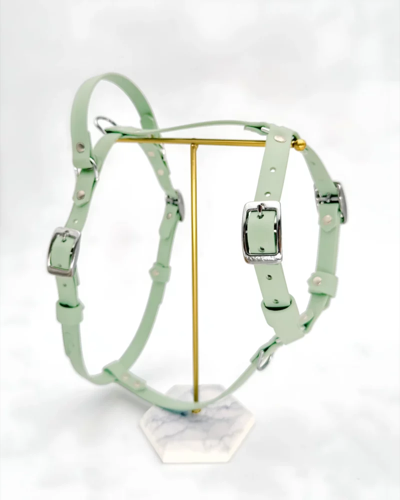 PVC Dog Harness 16mm – Customizable 🎨