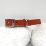 Collier double 38mm BioThane® & PVC – à personnaliser 🎨