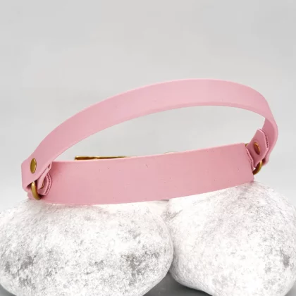 Collier poignée rétractable 25mm PVC - à personnaliser 🎨
