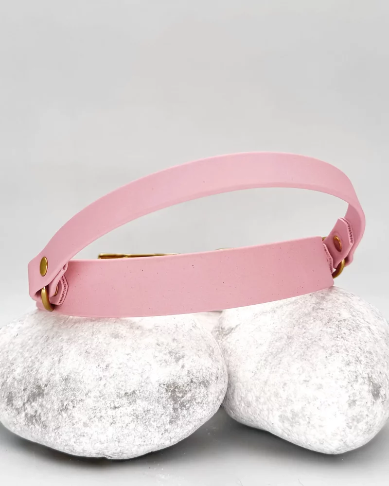 Collier poignée rétractable 25mm PVC - à personnaliser 🎨