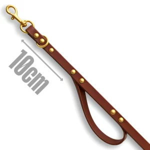 Laisse bicolore PVC