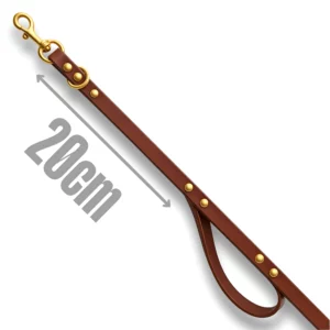 Laisse bicolore PVC