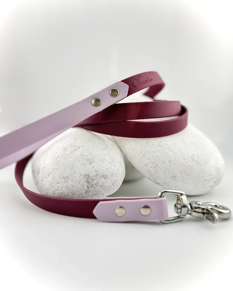 Two-tone Biothane® Dog Leash - Image 3