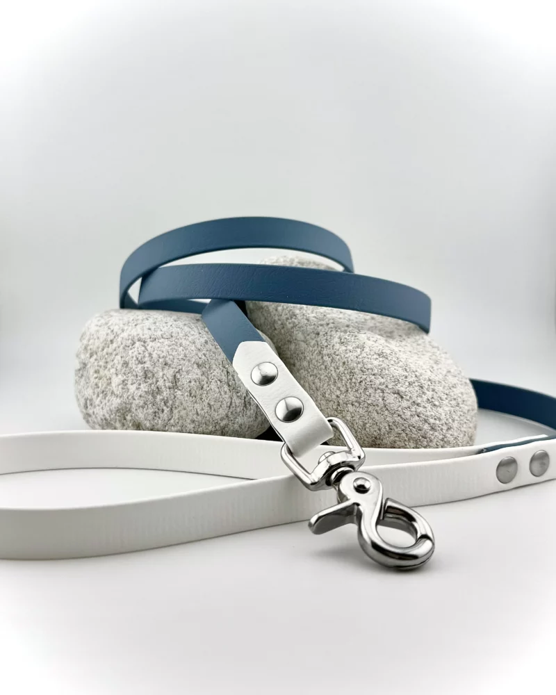 Two-tone Biothane® Dog Leash