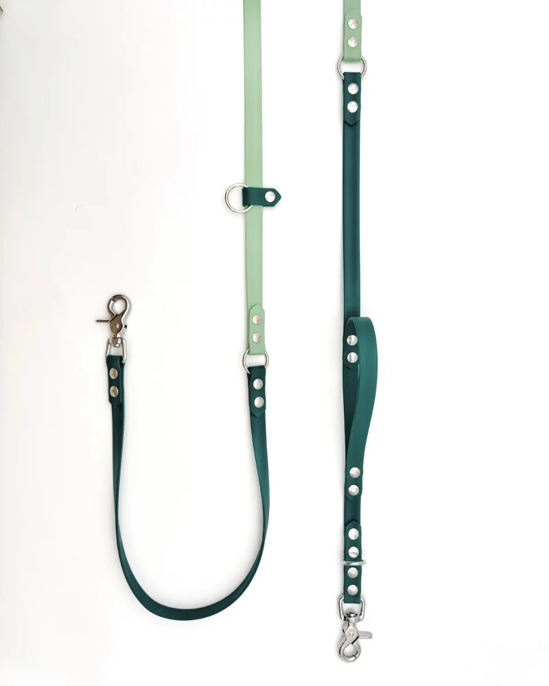 Laisse multi-positions BioThane® – Image 8