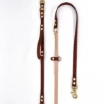 Laisse multi-positions PVC