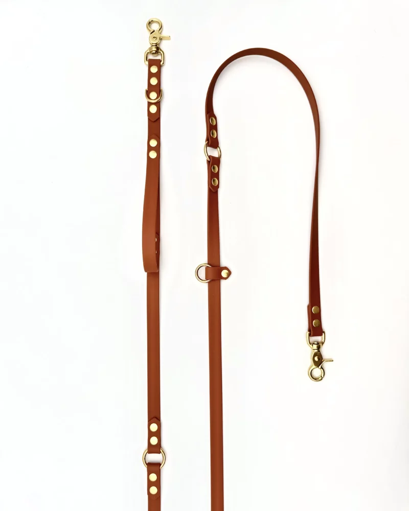 Laisse multi-positions PVC